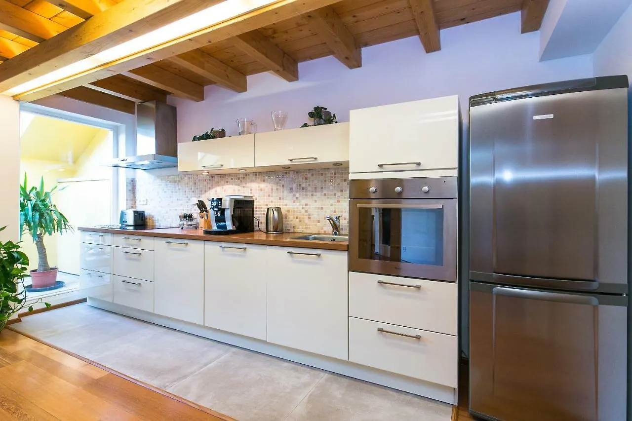 Attic Apartment By Wenceslas Square Prag